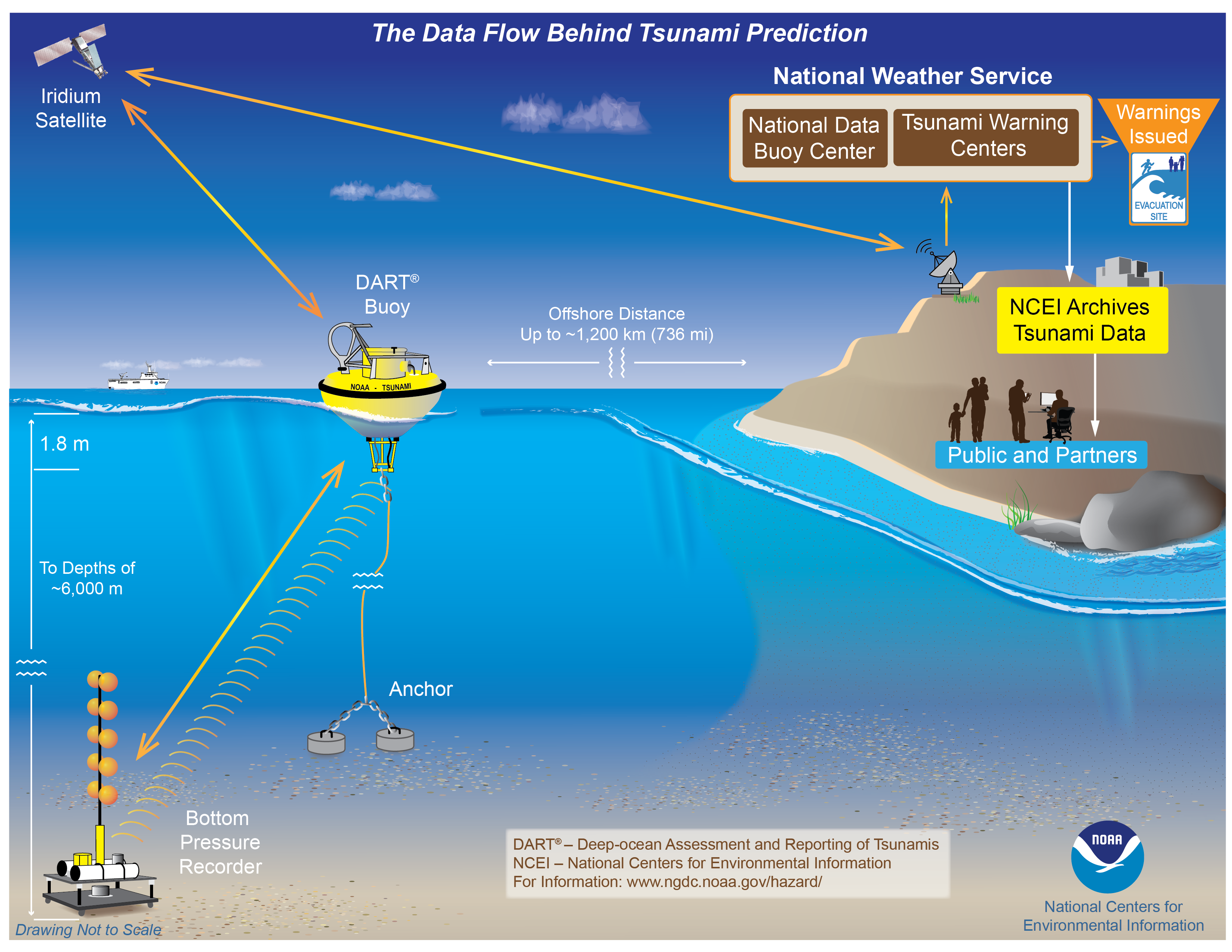 Graphic showing how data is collected from a DART buoy, sent to the National Data Buoy Center, the Tsunami Warning Centers and ends up in the NCEI Data Archive.