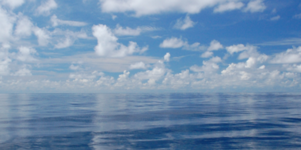 Fair weather cumulus clouds reflecting off of a glassy smooth ocean.