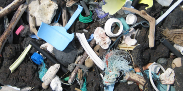 Virtually indestructible pieces of plastic fouling a black rock beach on the island of Hawaii. 