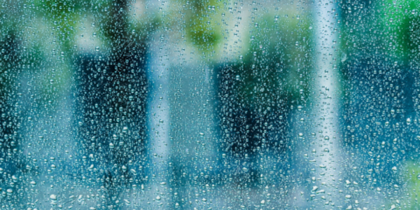 Rain flecked on a windowpane with trees and buildings visible through the glass.