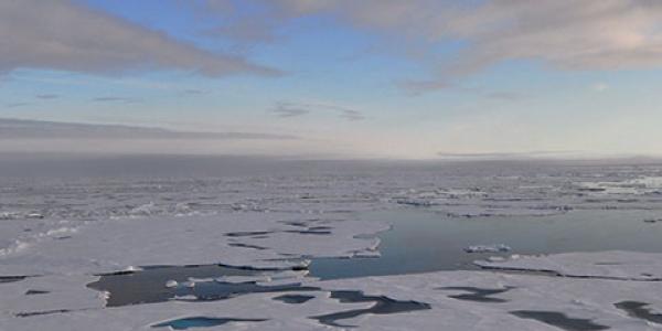 Photo of an Arctic landscape of ice floes and melt pools