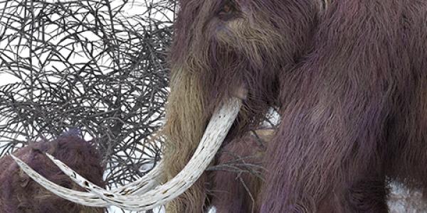 Artistic rendering of woolly mammoths grazing