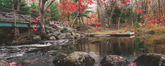 Bright red foliage on trees in the background with a pier hovering the lake and rocks and red leaves on the bank in forefront. Bright red foliage on trees in the background with a pier hovering the lake and rocks and red leaves on the bank in forefront.