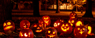 Many carved pumpkins with different designs and faces set out on a stretch of grass with trees in the background. Many carved pumpkins with different designs and faces set out on a stretch of grass with trees in the background.