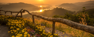 Yellow and pink flowers along wooden gate in forefront, with sun setting over water with mountains in background. Yellow and pink flowers along wooden gate in forefront, with sun setting over water with mountains in background.
