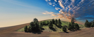 Picture of rural farmland Picture of rural farmland