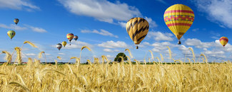 Hot air balloons over a wheat field Picture of hot air balloons over a wheat field
