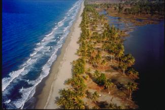 Photo of Papua New Guinea Earthquake Coastline