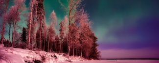 Aurora borealis setting green and blue hues over the ocean with trees and shoreline set off to the left. Aurora borealis setting green and blue hues over the ocean with trees and shoreline set off to the left.