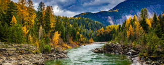 River running through a forest of green trees with the start of yellow foliage and mountains in the background. River running through a forest of green trees with the start of yellow foliage and mountains in the background.