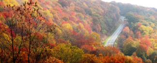 Aerial view of road winding through yellow, green, and red colored autumn trees, with pale sky overhead Aerial view of road winding through yellow, green, and red colored autumn trees, with pale sky overhead