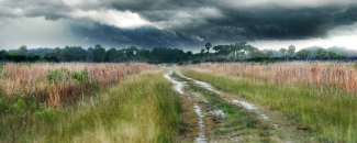 Alt text: A grassy landscape with a sandy path winding through it and a dark, stormy sky in the background. Alt text: A grassy landscape with a sandy path winding through it and a dark, stormy sky in the background.