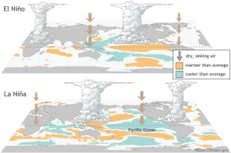 Top: Illustration of a cross section of the atmosphere during El Niño, documenting warmer than average central/eastern equatorial Pacific SST and resulting areas of rising and sinking air and thunderstorm formation. Bottom: Illustration of a cross section of the atmosphere during La Niña, documenting cooler than average central/eastern equatorial Pacific SST and resulting areas of rising and sinking air opposite El Niño. Image courtesy of NOAA climate.gov.