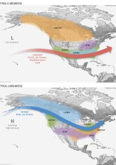 Illustration of a map of North America with weather impacts during a typical El Niño winter overlaid. The jet stream is farther south than normal, making a cooler/wetter south and a warmer/drier north more likely. Bottom: Illustration of a map of North America with weather impacts during a typical La Niña winter overlaid. The jet stream is farther north than normal, making a warmer/drier south and a cooler/wetter north more likely. 