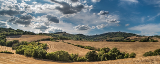 Photo of dry agricultural hillside and green trees Photo of dry agricultural hillside and green trees