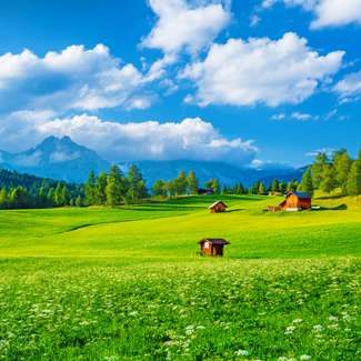 Field of green grass with mountains in the background and several houses scattered on the greenery.