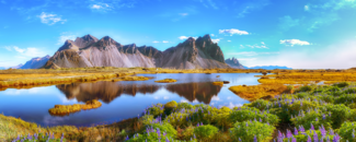 Purple flowers growing amid bushes in front of a lake surrounded by yellow grassland on a sunny day with mountains in the distance. Purple flowers growing amid bushes in front of a lake surrounded by yellow grassland on a sunny day with mountains in the distance.