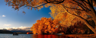 A lakeside overhung by trees whose leaves are changing color against a mountain range at sunrise. A lakeside overhung by trees whose leaves are changing color against a mountain range at sunrise.