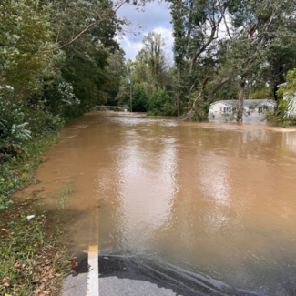 A road is inundated with floodwaters in Arden, NC after hurricane Helene. Broken tree branches and damaged power lines hang over the flooded road.