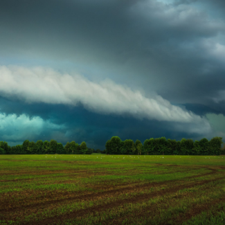 A storm approaching an open field in the summer.