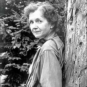 Rachel Carson leaning against a tree at the U.S. Fish and Wildlife Service field office in Michigan.