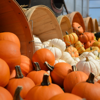 Calabazas de distintos colores derramándose de canastas grandes.