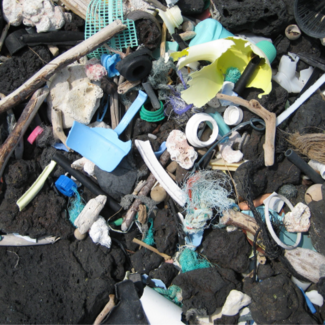 Virtually indestructible pieces of plastic fouling a black rock beach on the island of Hawaii. 