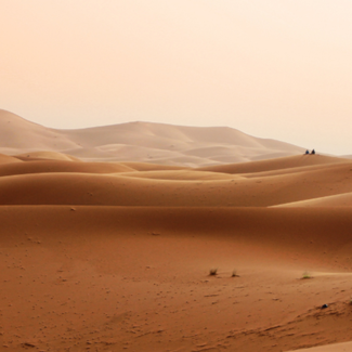 Alt Text: Sand dunes in front of a light pink overcast sky in a Moroccan desert.