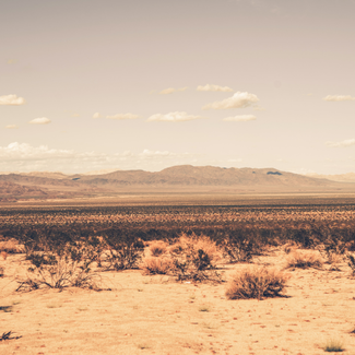 The southern California desert with mountains in the background.