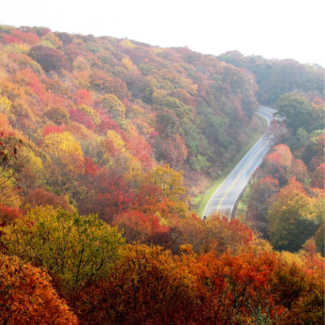 A highway winding around a hill covered in trees changing color in the autumn.