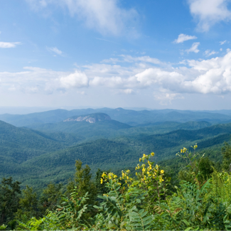 Photo of the Blue Ridge Mountains behind trees with a blue sky full of clouds overhead.