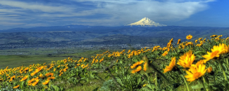 Photo of Mount Hood in Oregon Photo of Mount Hood in Oregon