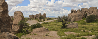 Photo of Rockhound Park in New Mexico Photo of Rockhound Park in New Mexico