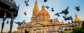 Church in Guadalajara, Mexico with pigeons flying overhead. Church in Guadalajara, Mexico with pigeons flying overhead.