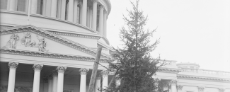 Photo of the first Capitol Christmas Tree in Washington, DC, in 1913 Photo of the first Capitol Christmas Tree in Washington, DC, in 1913