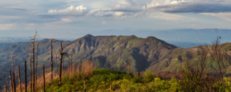A mountain ridgeline in Arizona with a small amount of green vegetation creeping onto the rocks of the mountains and burned and dead ponderosa pine trees in the foreground. A mountain ridgeline in Arizona with a small amount of green vegetation creeping onto the rocks of the mountains and burned and dead ponderosa pine trees in the foreground.