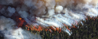Aerial view of wildfire Aerial view of a wildfire line moving through a forest with large clouds of smoke being emitted above the fire.
