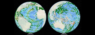 Global images showing the tracklines of vessels in the ocean to map underwater features Global images showing the tracklines of vessels in the ocean to map underwater features