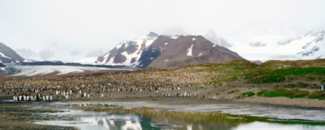 South Georgia Island, part of the territory which includes the South Sandwich Islands South Georgia Island, part of the territory which includes the South Sandwich Islands
