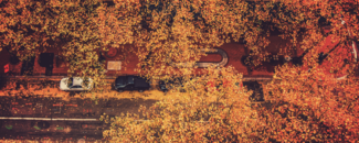 Aerial view of cars parked along the street with trees shedding their fall-colored leaves. Aerial view of cars parked along the street with trees shedding their fall-colored leaves.
