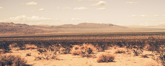 Assessing the U.S. Climate in August 2024 The southern California desert with mountains in the background.