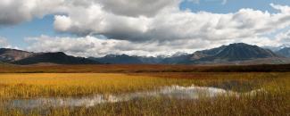 Photo of Denali National Park and Preserve in Alaska Photo of Denali National Park and Preserve in Alaska