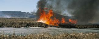 Photo of a grass wildfire Photo of a grass wildfire