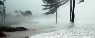Stormy day on a beach with high wind blowing palm trees and surf high on sand. Stormy day on a beach with high wind blowing palm trees and surf high on sand.