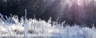 Picture of a frozen meadow Picture of a frozen meadow