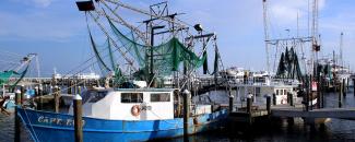 Picture of Fishing Boat in Pass Christian, Mississippi, by Barbara Ambrose, NOAA NCEI Picture of Fishing Boat in Pass Christian, Mississippi, by Barbara Ambrose, NOAA NCEI