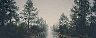 Photo of rain-slick road on rainy day Photo of rain-slick road on rainy day