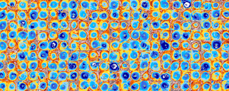 Mosaic image of hurricane satellite imagery Mosaic image of hurricane satellite imagery