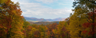Fall landscape in the Smoky Mountains. Fall landscape in the Smoky Mountains.