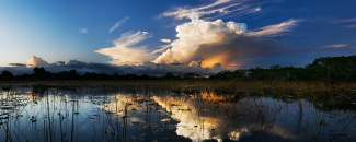 Photo of storm clouds over the Everglades Photo of storm clouds over the Everglades